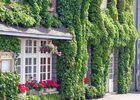 bonne_auberge.jpg