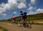 Au coeur du Vignoble©J Piffaut