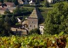 Les tuiles vernissées du Chateau Philippe le Hardi©Image&Associés