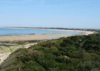 Conche3.JPG