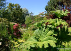 jardin-du-beau-pays (2).JPG
