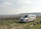 Mercedes dans les vignes Champagne 2.JPG