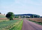 Pitoite - -la Bouillant.jpg