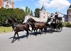reims_0351.jpg