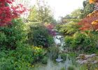 photo du jardin du beau paysDSC03447.JPG