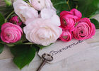 © sonia chatelain - Fotolia.jpg