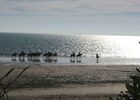 Plage sud5.jpg