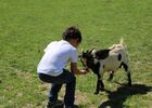 Camping Ferme pédagogique de Prunay à seillac