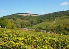 Vignoble des Hautes de Beaune & Baubigny©Image&associés