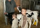 Ferme de la Marque - Crédit photo CDT Aube en Champagne .jpg