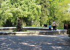 IMG_3702.JPG