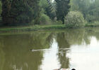 27560_129102.jpg