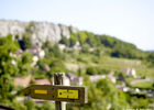 Orches©Image&Associés