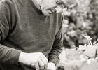 Art-In-The-Harvest-Darrin-Ballman-Commercial-Photography-8541_WEB_LOGO.jpg