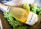 Art-In-The-Harvest-Darrin-Ballman-Commercial-Photography-9100_WEB_LOGO.JPG