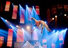 Xavier Bouyer Drapeau contorion.jpg