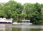 DSCN3481.JPG