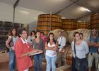 Vignerons3.JPG