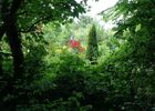 photo du jardin du beau paysDSC04325.JPG