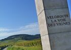 Porte de la Voie des Vignes©L Dallerey