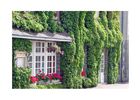bonne_auberge.jpg