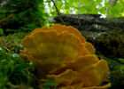 DSC_8875.jpg