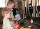 Ferme de la Marque - Crédit photo CDT Aube en Champagne (2).jpg