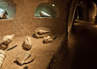 Coquillages Cave (10 sur 30).jpg