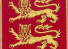 insigne Normandie Niemen.JPG