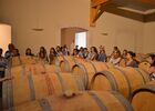 Vignerons4.JPG
