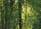DSC02491.JPG