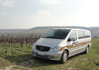 Mercedes dans les vignes Champagne 3.JPG