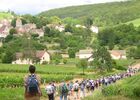 A la découverte des Cortons©P Gateau