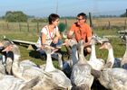 DSC_4656 copie.jpg