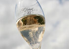 Champagne Dumont(5).JPG