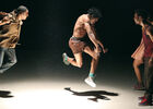 ÉLOGE DU PUISSANT ROYAUME / HEDDY MAALEM // © PATRICK FABRE.jpg
