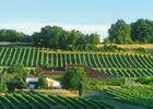 DOMAINE DES CASSAGNOLES