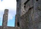 VISITE GUIDEE DE LARRESSINGLE