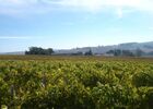 DOMAINE DE MAUBERT