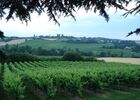 CHATEAU DE MONS