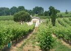 Vignoble de l'armagnac