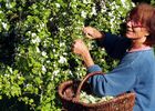AUX EVEQUES GOURMANDS