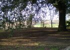 Grand parc arboré
