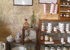 Cuisine du canard