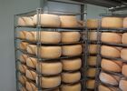 Fromage de brebis au lait cru