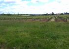 BERDALE
