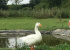 Ferme de Hustet