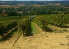 Armagnac