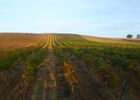 Domaine viticole dans le Gers