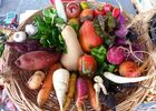FERME LES BOU DE JARDIN